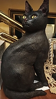 495051684_10228008717138977_4888801422981826243_n.jpg