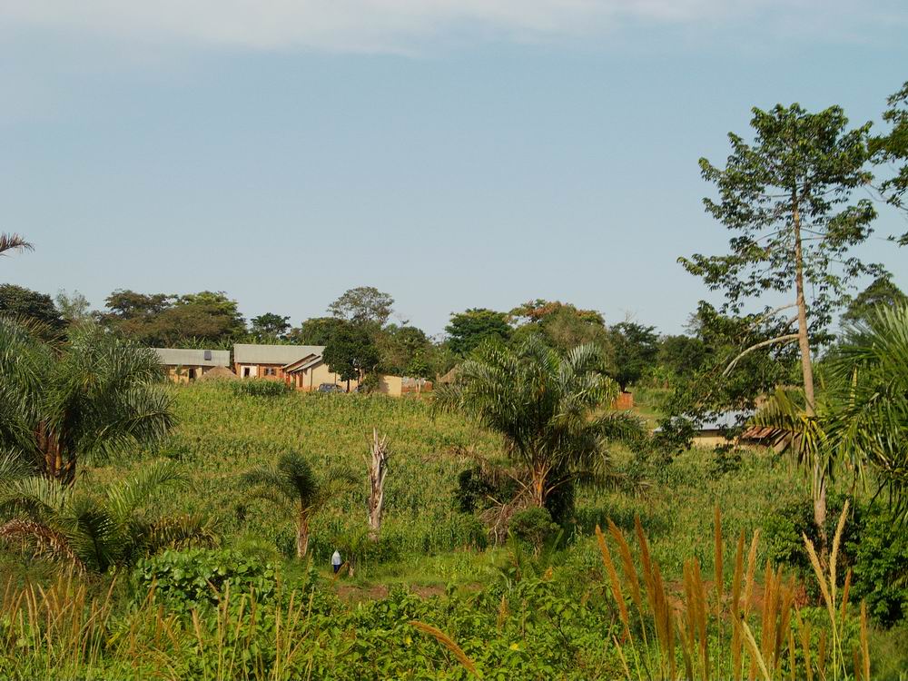 veduta Gossace